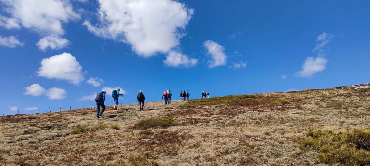 WhatsApp Image 2026-04-08 at 07.40.54